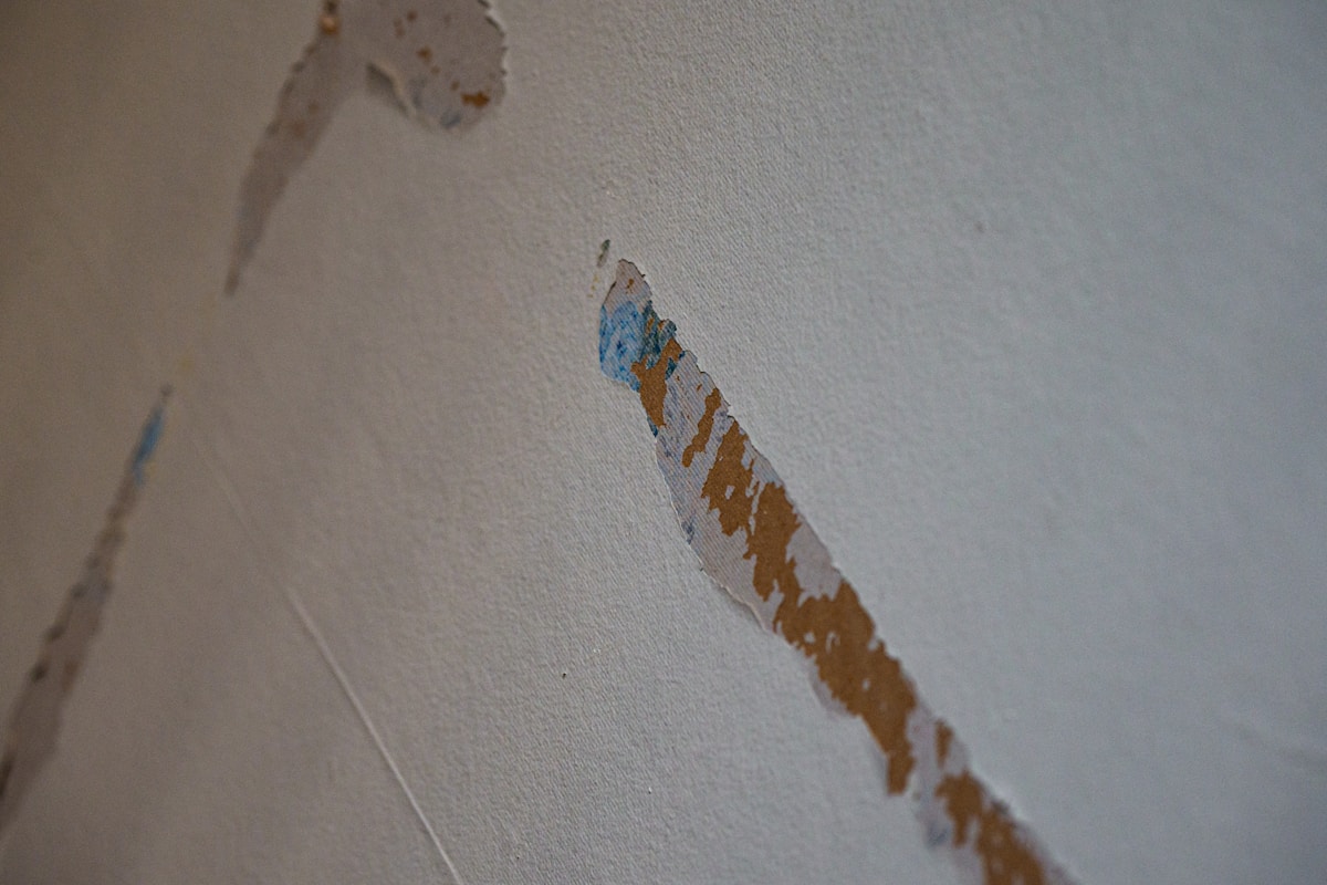 Mold Remediation service in Gilroy, CA